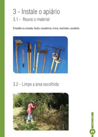 Coleção|SENAR
49
3 - Instale o apiário
3.1 - Reuna o material
Enxadão ou enxada, facão, cavadeiras, trena, machado, cavaletes.
3.2 - Limpe a área escolhida
 