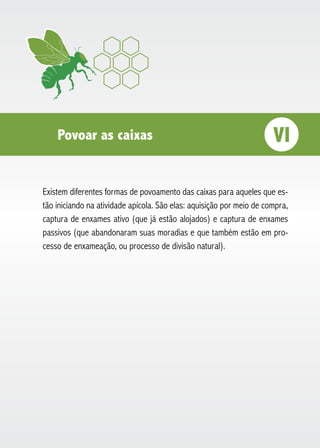 Povoar as caixas VI
Existem diferentes formas de povoamento das caixas para aqueles que es-
tão iniciando na atividade apícola. São elas: aquisição por meio de compra,
captura de enxames ativo (que já estão alojados) e captura de enxames
passivos (que abandonaram suas moradias e que também estão em pro-
cesso de enxameação, ou processo de divisão natural).
 