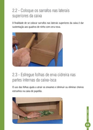 Coleção|SENAR
55
2.2 - Coloque os sarrafos nas laterais
superiores da caixa
A finalidade de se colocar sarrafos nas laterais superiores da caixa é dar
sustentação aos quadros de ninho com cera nova.
2.3 - Esfregue folhas de erva cidreira nas
partes internas da caixa-isca
O uso das folhas ajuda a atrair os enxames e diminuir ou eliminar cheiros
estranhos na caixa de papelão.
 