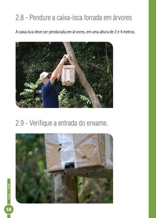 Coleção|SENAR
58
2.8 - Pendure a caixa-isca forrada em árvores
A caixa-isca deve ser pendurada em árvores, em uma altura de 2 e 4 metros.
2.9 - Verifique a entrada do enxame.
 