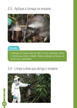 Coleção|SENAR
62
3.3 - Aplique a fumaça no enxame
3.4 - Limpe a área que abriga o enxame
Atenção:
A aplicação da fumaça deve ser feita de forma moderada. Espere
3 minutos para iniciar o trabalho. Repita a aplicação da fumaça, de
acordo com a necessidade.
 