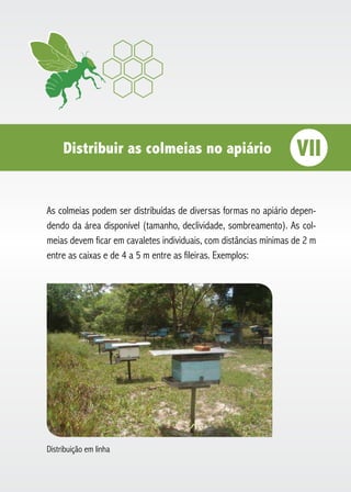 Distribuir as colmeias no apiário VII
As colmeias podem ser distribuídas de diversas formas no apiário depen-
dendo da área disponível (tamanho, declividade, sombreamento). As col-
meias devem ficar em cavaletes individuais, com distâncias mínimas de 2 m
entre as caixas e de 4 a 5 m entre as fileiras. Exemplos:
Distribuição em linha
 