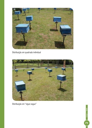 Coleção|SENAR
71
Distribuição em quadrado individual
Distribuição em “zigue zague”
 