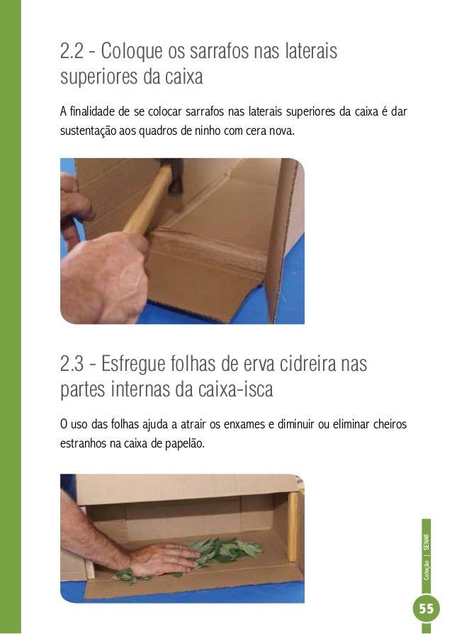 Caixa Isca De Papelão Para Abelhas Manejo De Abelhas
