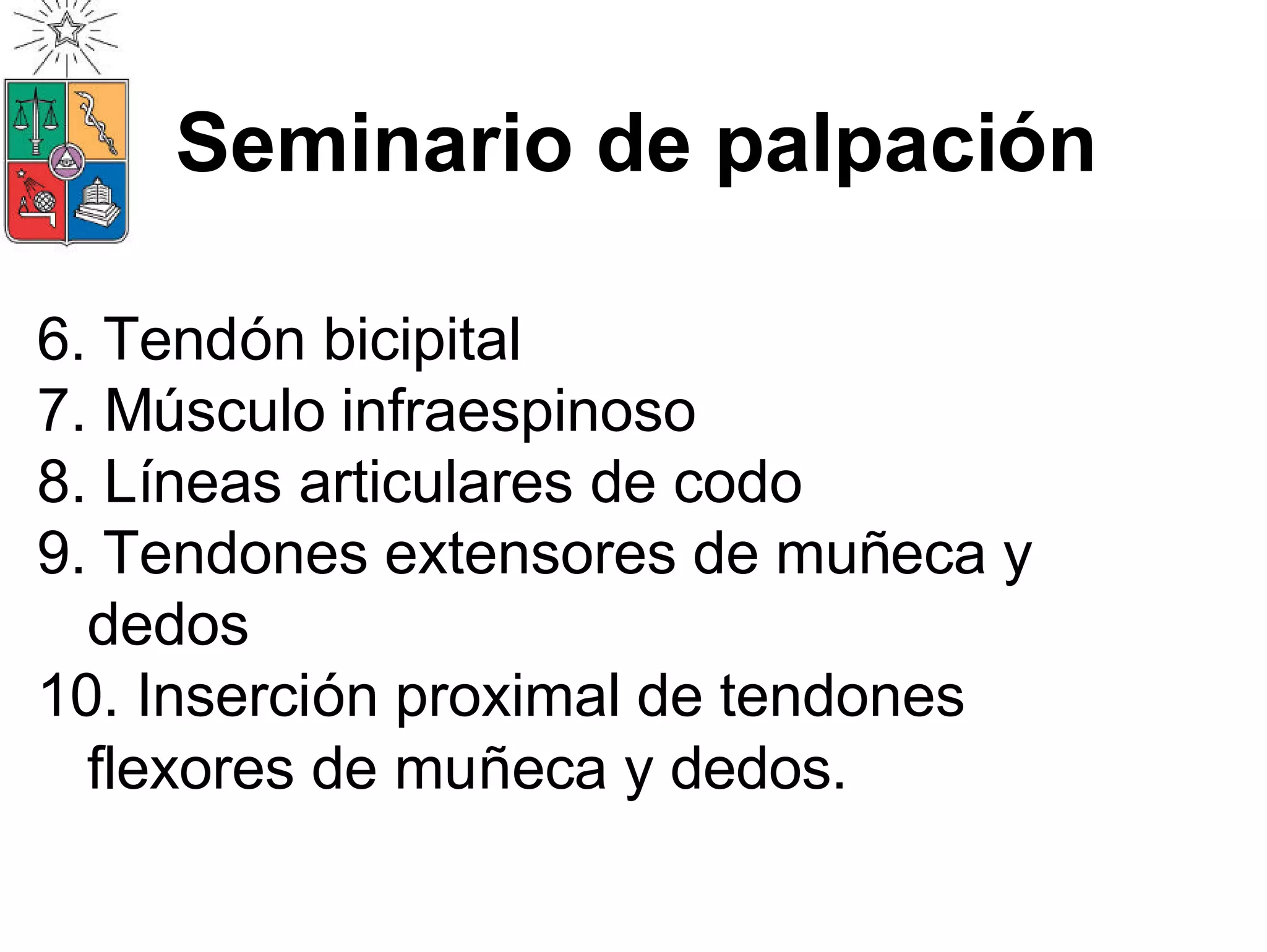 Manejo De Lesiones de EESS 2