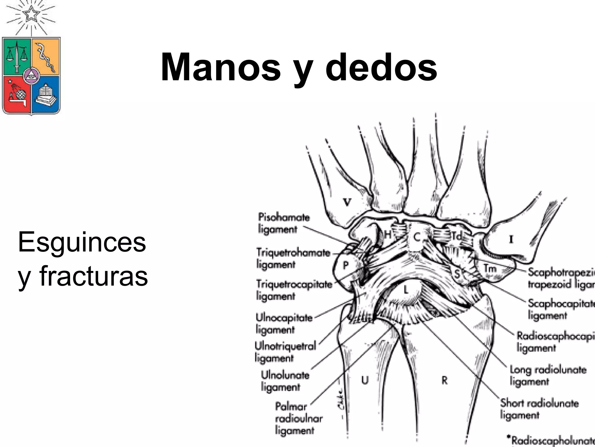 Manejo De Lesiones de EESS 2