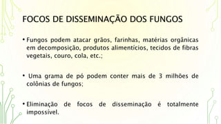 FOCOS DE DISSEMINAÇÃO DOS FUNGOS
• Fungos podem atacar grãos, farinhas, matérias orgânicas
em decomposição, produtos alimentícios, tecidos de fibras
vegetais, couro, cola, etc.;
• Uma grama de pó podem conter mais de 3 milhões de
colônias de fungos;
• Eliminação de focos de disseminação é totalmente
impossível.
 