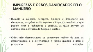 IMPUREZAS E GRÃOS DANIFICADOS PELO
MANUSEIO
• Durante a colheita, secagem, limpeza e transporte em
elevadores, os grãos estão sujeitos a impactos mecânicos que
podem levar a rachaduras e quebras, as quais servem de
entrada para a invasão de fungos e insetos.
• Grãos não descorticados se conservam melhor do que os
descorticados, e a deterioração é rápida quando o grão é
preparado para a extração.
 