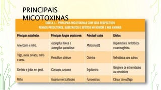 PRINCIPAIS
MICOTOXINAS
 
