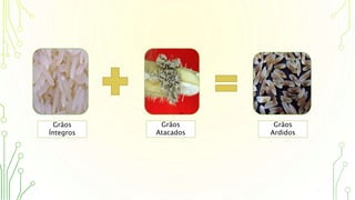Grãos
Íntegros
Grãos
Ardidos
Grãos
Atacados
 