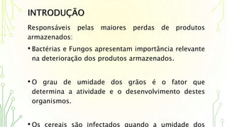 INTRODUÇÃO
Responsáveis pelas maiores perdas de produtos
armazenados:
• Bactérias e Fungos apresentam importância relevante
na deterioração dos produtos armazenados.
• O grau de umidade dos grãos é o fator que
determina a atividade e o desenvolvimento destes
organismos.
• Os cereais são infectados quando a umidade dos
 