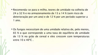 • Recomenda-se para o milho, teores de umidade na colheita de
24 a 32 % e no armazenamento de 13 a 14 % (sem risco de
deterioração por um ano) e de 12 % por um período superior a
1 ano.
• Os fungos necessitam de uma umidade relativa de, pelo menos,
65 % o que corresponde a uma taxa de equilíbrio de umidade
de 13 % no grão de cereal e eles crescem com temperaturas
entre 10 e 40ºC .
 