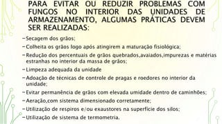 PARA EVITAR OU REDUZIR PROBLEMAS COM
FUNGOS NO INTERIOR DAS UNIDADES DE
ARMAZENAMENTO, ALGUMAS PRÁTICAS DEVEM
SER REALIZADAS:
-Secagem dos grãos;
-Colheita os grãos logo após atingirem a maturação fisiológica;
-Redução dos percentuais de grãos quebrados,avaiados,impurezas e matérias
estranhas no interior da massa de grãos;
-Limpeza adequada da unidade
-Adoação de técnicas de controle de pragas e roedores no interior da
unidade;
-Evitar permanência de grãos com elevada umidade dentro de caminhões;
-Aeração,com sistema dimensionado corretamente;
-Utilização de respiros e/ou exaustores na superfície dos silos;
-Utilização de sistema de termometria.
 