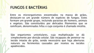 FUNGOS E BACTÉRIAS
Entre os microrganismos encontrados na massa de grãos,
destacam-se um grande número de espécies de fungos. Estes
formam um grande grupo, incluindo parasitas de homens, animais
e vegetais. São constituídos por delicados filamentos que se
ramificam, denominados hifas e cujo conjunto é chamado micélio.
São organismos unicelulares, cuja multiplicação se dá
simplesmente por divisão celular. São incapazes de penetrar no
tecido intacto do grão, sendo necessário que haja aberturas
naturais ou ferimentos causados por insetos ou tecidos
apodrecidos.
 