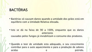 BACTÉRIAS
• Bactérias só causam danos quando a umidade dos grãos está em
equilíbrio com a Umidade Relativa elevada.
• Isto se dá na faixa de 90 a 100%, enquanto que os danos
anteriores
causados pelos fungos já inviabilizam o consumo dos produtos.
• Quando o teor de umidade esta adequado, o seu crescimento
contribui para o auto aquecimento e para a produção de odores
acidas e pútrido.
 