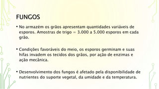 FUNGOS
• No armazém os grãos apresentam quantidades variáveis de
esporos. Amostras de trigo = 3.000 a 5.000 esporos em cada
grão.
• Condições favoráveis do meio, os esporos germinam e suas
hifas invadem os tecidos dos grãos, por ação de enzimas e
ação mecânica.
• Desenvolvimento dos fungos é afetado pela disponibilidade de
nutrientes do suporte vegetal, da umidade e da temperatura.
 