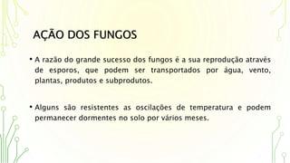 • A razão do grande sucesso dos fungos é a sua reprodução através
de esporos, que podem ser transportados por água, vento,
plantas, produtos e subprodutos.
• Alguns são resistentes as oscilações de temperatura e podem
permanecer dormentes no solo por vários meses.
AÇÃO DOS FUNGOS
 