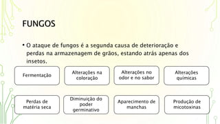 FUNGOS
• O ataque de fungos é a segunda causa de deterioração e
perdas na armazenagem de grãos, estando atrás apenas dos
insetos.
Fermentação
Alterações na
coloração
Alterações no
odor e no sabor
Perdas de
matéria seca
Diminuição do
poder
germinativo
Aparecimento de
manchas
Alterações
químicas
Produção de
micotoxinas
 