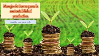 Manejo de tierras para la
sustentabilidad
productiva.
Aradillas Lara María Nelly.
 