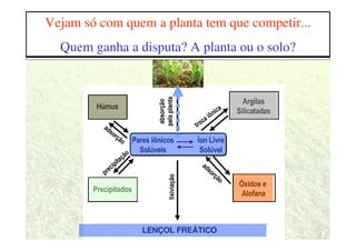 Húmus
Precipitados
Argilas
Silicatadas
Óxidos e
Alofana
Íon Livre
Solúvel
Pares Iônicos
Solúveis
lixiviação
absorção
pela
planta
troca iônica
adsorção
adsorção
precipitação
LENÇOL FREÁTICO
Fatores que afetam a disponibilidade dos
nutrientes
Vejam só com quem a planta tem que competir...
Quem ganha a disputa? A planta ou o solo?
 
