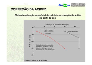 CORREÇÃO DA ACIDEZ:
Efeito da aplicação superficial de calcário na correção da acidez
no perfil do solo
Fonte: Freitas et al. (2005)
 
