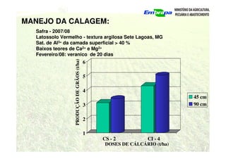 MANEJO DA CALAGEM:
Safra - 2007/08
Latossolo Vermelho - textura argilosa Sete Lagoas, MG
Sat. de Al3+ da camada superficial > 40 %
Baixos teores de Ca2+ e Mg2+
Fevereiro/08: veranico de 20 dias
1
2
3
4
5
6
CS - 2 CI - 4
45 cm
90 cm
PRODUÇÃO
DE
GRÃOS
(t/ha)
DOSES DE CÁLCÁRIO (t/ha)
 