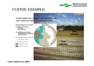 CUSTOS: EXEMPLO
Sem
calcário
Com
calcário
USO DE DOSE ÚNICA (MÉDIA) QUANDO DEVERIA
SER VARIÁVEL PODE CAUSAR PROBLEMAS...
Fonte: Coelho et al. (2007)
 
