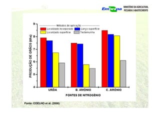 Fonte: COELHO et al. (2006)
 