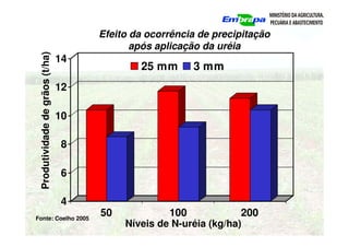 4
6
8
10
12
14
50 100 200
25 mm 3 mm
Níveis de N-uréia (kg/ha)
Produtividade
de
grãos
(t/ha)
Efeito da ocorrência de precipitação
após aplicação da uréia
Fonte: Coelho 2005
 