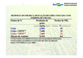 RESPOSTA DO MILHO À APLICAÇÃO DE URÉIA TRATADA COM
INIBIDOR DE UREASE
Fontes de N Produção de
grãos
Perdas de NH3
--------kg/ha ------ -------- % ------------
Uréia 6.960 45
Uréia + NPTP 1/
7.440 32
Uréia + NPTP 2/
7.860 23
Nitrato de Amônio 8.164 0.6
1/
Uréia tratada com inibidor de urease antes da granulação (fabricação).
2/
Uréia tratada com inibidor de urease dois dias antes da aplicação.
Fonte: CANTARELLA et al. (2004)
 