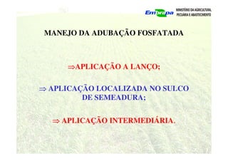 MANEJO DA ADUBAÇÃO FOSFATADA
⇒
⇒
⇒
⇒APLICAÇÃO A LANÇO;
⇒
⇒
⇒
⇒ APLICAÇÃO LOCALIZADA NO SULCO
DE SEMEADURA;
⇒
⇒
⇒
⇒ APLICAÇÃO INTERMEDIÁRIA.
 