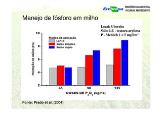 Local: Uberaba
Solo: LE - textura argilosa
P - Mehlich 1 = 5 mg/dm3
Manejo de fósforo em milho
Fonte: Prado et al. (2004)
 