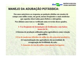 MANEJO DA ADUBAÇÃO POTÁSSICA:
Em anos anteriores as respostas ao potássio obtidas em ensaios de
campo com milho eram, em geral, menos freqüentes e mais modestas
que aquelas observadas para fósforo e nitrogênio.
Nos últimos anos tem se verificado uma reversão desse quadro,
devido:
1- Uso freqüente de formulações de fertilizantes com baixos
teores de K;
2-Sistema de produção utilizados pelos agricultores como rotação
soja-milho;
3-Uso de modernos híbridos de milho de alto potencial produtivo;
4-Conscientização dos agricultores da necessidade de
recuperação da fertilidade do solo;
5-Aumento do uso do milho como planta forrageira;
 