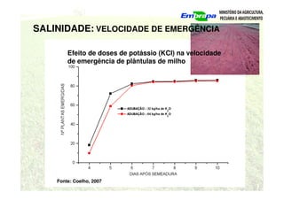 SALINIDADE: VELOCIDADE DE EMERGÊNCIA
Efeito de doses de potássio (KCl) na velocidade
de emergência de plântulas de milho
Fonte: Coelho, 2007
 