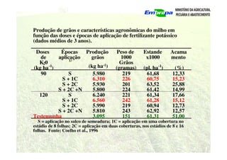 Produção de grãos e características agronômicas do milho em
função das doses e épocas de aplicação de fertilizante potássico
(dados médios de 3 anos).
Doses
de
K20
Épocas
aplicação
1/
Produção
grãos
Peso de
1000
Grãos
Estande
x1000
Acama
mento
(kg ha-1
) (kg ha-1) (gramas) (pl. ha-1
) (%)
90 S 5.980 219 61,68 12,33
S + 1C 6.310 226 60,75 15,23
S + 2C 5.930 201 63,52 25,88
S + 2C +N 5.800 224 61,42 14,99
120 S 6.240 221 61,34 17,66
S + 1C 6.560 242 61,28 15,12
S + 2C 5.990 219 60,94 12,73
S + 2C +N 5.810 243 62,92 12,57
Testemunha 3.095 151 61,31 51,00
1/
S = aplicação no sulco de semeadura; 1C = aplicação em uma cobertura no
estádio de 8 folhas; 2C = aplicação em duas coberturas, nos estádios de 8 e 16
folhas. Fonte: Coelho et al., 1996.
 