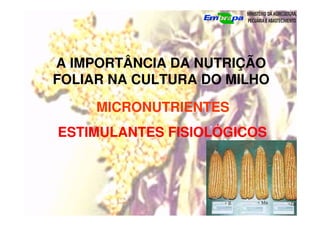 A IMPORTÂNCIA DA NUTRIÇÃO
FOLIAR NA CULTURA DO MILHO
MICRONUTRIENTES
ESTIMULANTES FISIOLÓGICOS
 
