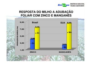 3,88
7,19
2,21
8,40
1,00
3,00
5,00
7,00
9,00
PRO
DUÇÃO
DE
G
RÃO
S
(
t/ha)
ZINCO MANGANÊS
RESPOSTA DO MILHO A ADUBAÇÃO
FOLIAR COM ZINCO E MANGANÊS
- Zn
+ Zn
- Mn
+ Mn
Brasil EUA
 