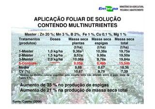 APLICAÇÃO FOLIAR DE SOLUÇÃO
CONTENDO MULTINUTRIENTES
Master : Zn 20 %; Mn 3 %, B 2%, Fe 1 %, Cu 0,1 %, Mg 1 %
Fonte: Coelho (2006)
Aumento de 35 % no produção de espigas
Aumento de 21 % na produção de massa seca total
Tratamentos
(produtos)
Doses Massa seca
plantas
Massa seca
espigas
Massa seca
total
(t/ha) (t/ha) (t/ha)
1-Master 1,0 kg/ha 9,38a1/
10,38a 19,75a
2-Master 1,5 kg/ha 9,52a 9,98a 19,50a
3-Master 2,0 kg/ha 10,06a 9,78a 19,84a
6-Controle ******* 9,05a 6,49b 15,54b
Média 9,68 8,67 18,36
CV (%) 10,67 9,79 7,39
1/
Médias na mesma coluna seguidas pela mesma letra não diferem entre si pelo teste de
Tukey 5 %
 