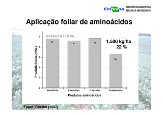 Aplicação foliar de aminoácidos
Fonte: Coelho (2007)
1.500 kg/ha
22 %
 