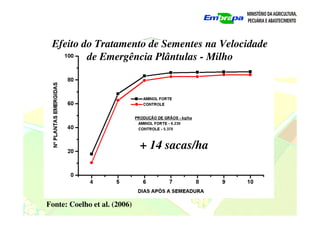 + 14 sacas/ha
Efeito do Tratamento de Sementes na Velocidade
de Emergência Plântulas - Milho
Fonte: Coelho et al. (2006)
 