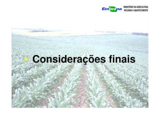 • Considerações finais
 