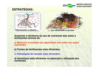 ESTRATÉGIAS:
.......que alimentam as pessoas
Alimentando as plantas....
Aumentar a eficiência de uso de nutrientes dos solos e
fertilizantes através de:
a) Melhorar a predição da capacidade dos solos em suprir
nutrientes;
b) Fontes de fertilizantes mais eficientes;
c) Estratégias de manejo mais eficientes;
d) Genótipos mais eficientes na absorção e utilização dos
nutrientes.
 