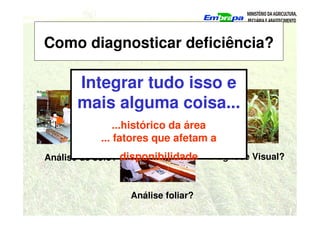 Como diagnosticar deficiência?
Análise de solo? Diagnose Visual?
Análise foliar?
Integrar tudo isso e
mais alguma coisa...
...histórico da área
... fatores que afetam a
disponibilidade
 