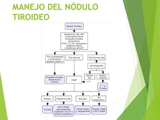 MANEJO DEL NÓDULO
TIROIDEO
 