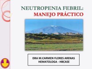 NEUTROPENIA FEBRIL:
MANEJO PRÁCTICO
DRA	
  M.CARMEN	
  FLORES	
  ARENAS	
  
	
  HEMATOLOGA	
  -­‐	
  HBCASE	
  
 