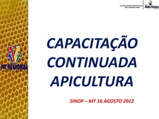 CAPACITAÇÃO
CONTINUADA
APICULTURA
  SINOP – MT 16 AGOSTO 2012
 