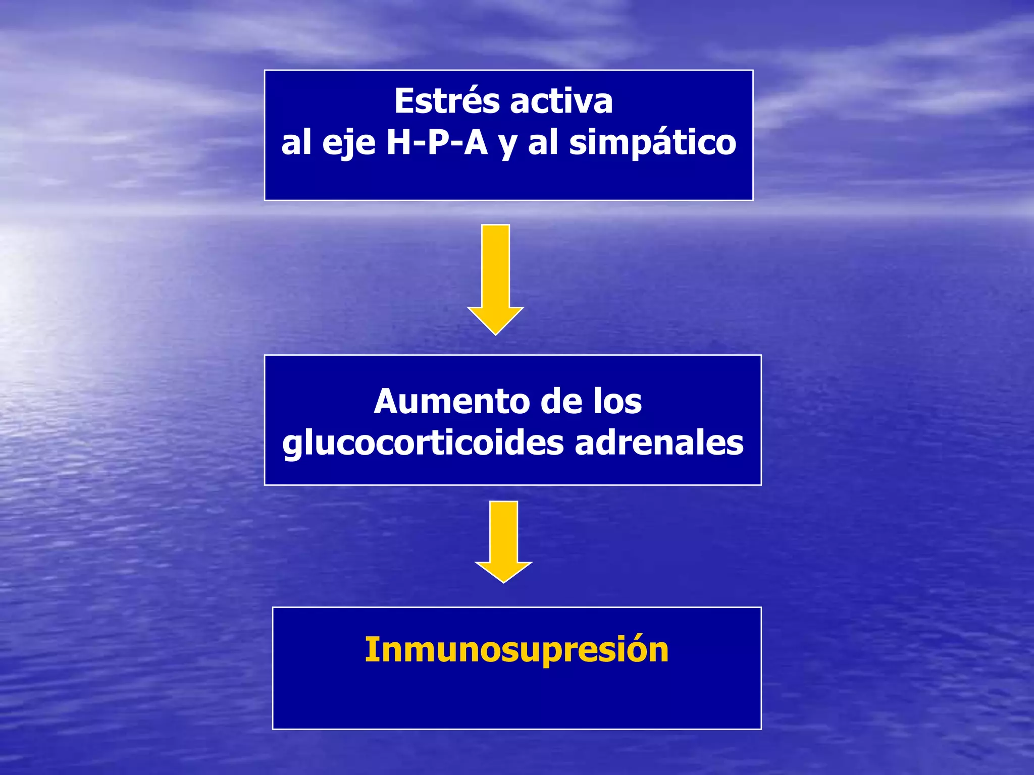 Estrés activa al eje H-P-A y al simpáticoAumento de los glucocorticoides adrenalesInmunosupresión