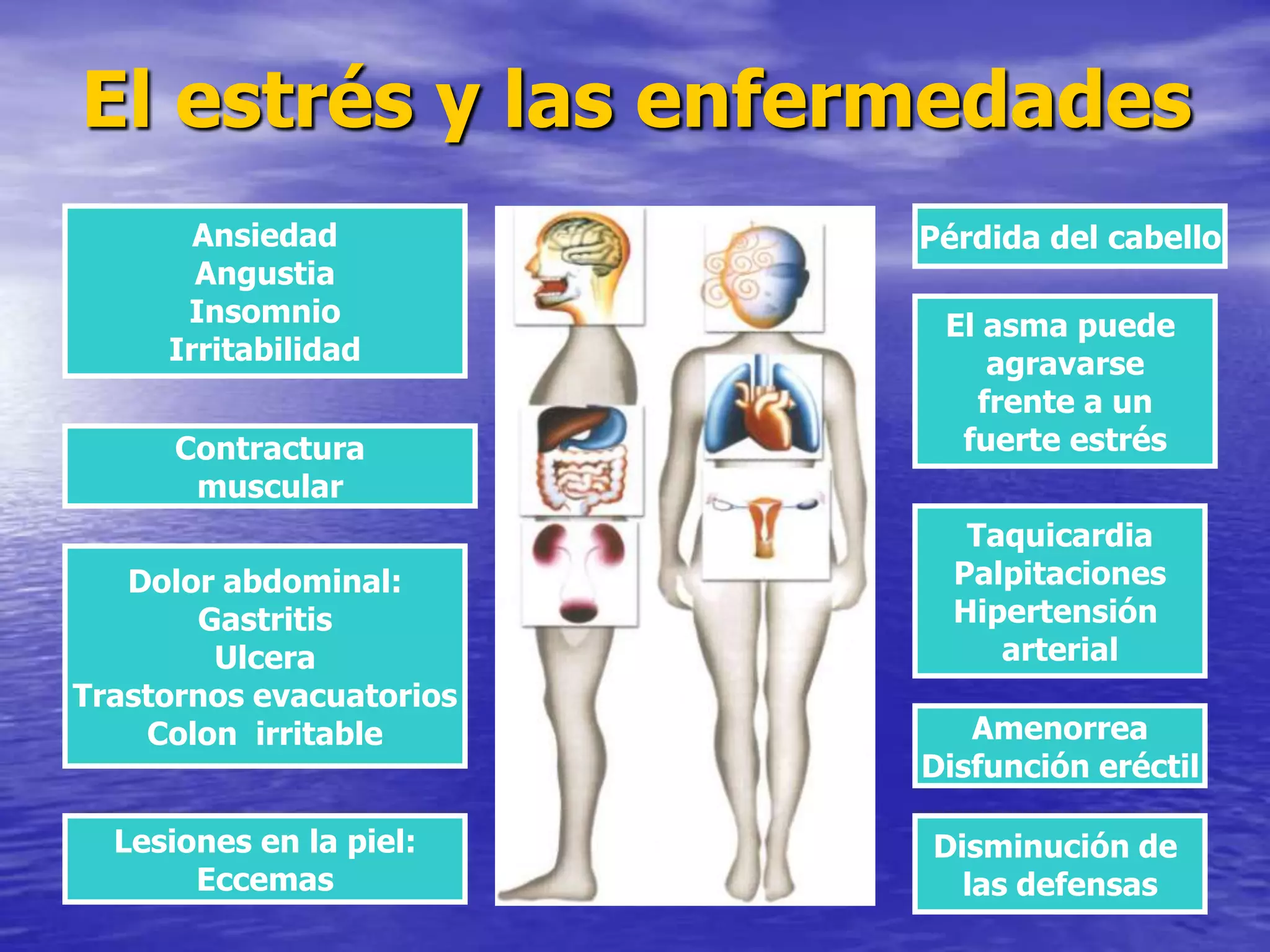 El estrés y las enfermedadesAnsiedadAngustiaInsomnioIrritabilidadPérdida del cabelloEl asma puede agravarsefrente a unfuerte estrésContracturamuscularTaquicardiaPalpitacionesHipertensión arterialDolor abdominal:GastritisUlceraTrastornos evacuatoriosColon  irritableAmenorreaDisfunción eréctilLesiones en la piel:EccemasDisminución de las defensas