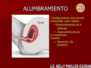 ALUMBRAMIENTO Fisiológicamente este periodo comprende cuatro etapas: Desprendimiento de la placenta Desprendimiento de   la membranas     ovulares  Descenso y la    expulsión  LIC. NELLY PINILLOS GUZMAN 