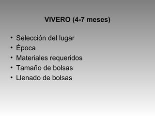 VIVERO (4-7 meses)
• Selección del lugar
• Época
• Materiales requeridos
• Tamaño de bolsas
• Llenado de bolsas
 